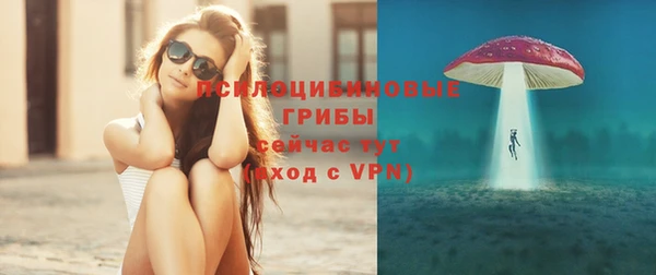 спиды Сосновка