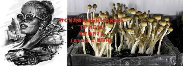 метамфетамин Армянск