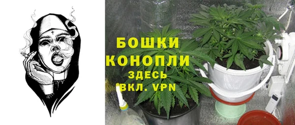 каннабис Арсеньев