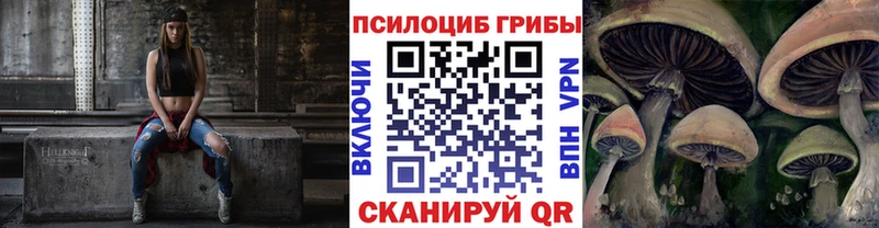 Галлюциногенные грибы Psilocybe  Купить  Дудинка 